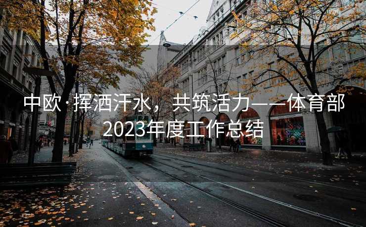 中欧·挥洒汗水，共筑活力——体育部2023年度工作总结