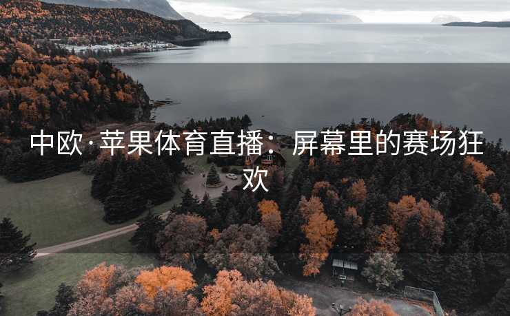 中欧·苹果体育直播：屏幕里的赛场狂欢