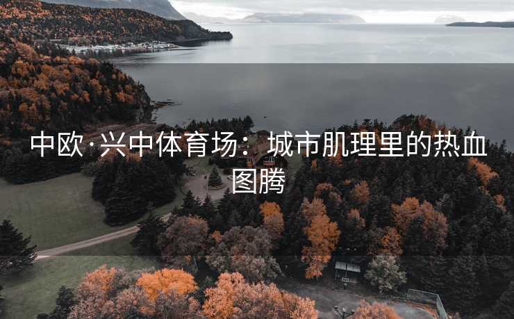 中欧·兴中体育场：城市肌理里的热血图腾
