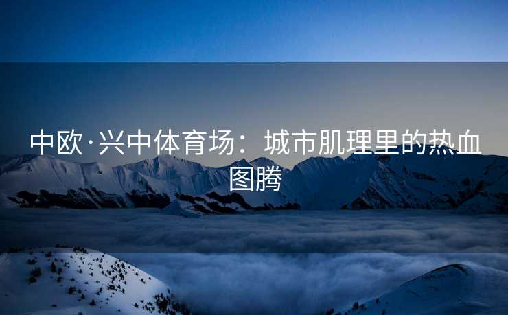 中欧·兴中体育场：城市肌理里的热血图腾
