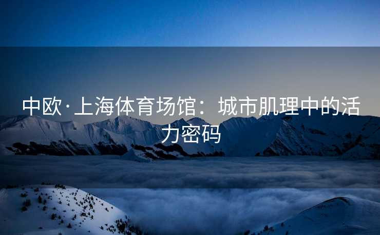 中欧·上海体育场馆：城市肌理中的活力密码