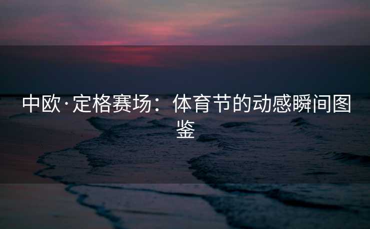 中欧·定格赛场：体育节的动感瞬间图鉴