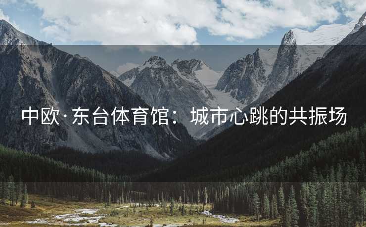 中欧·东台体育馆：城市心跳的共振场