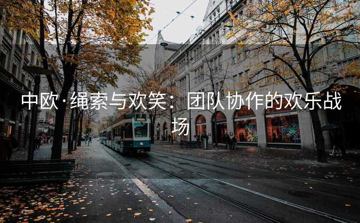 中欧·绳索与欢笑：团队协作的欢乐战场