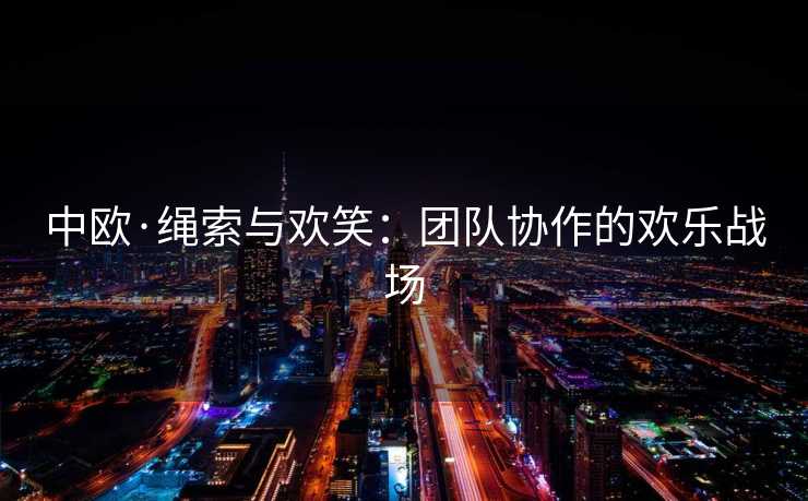 中欧·绳索与欢笑：团队协作的欢乐战场