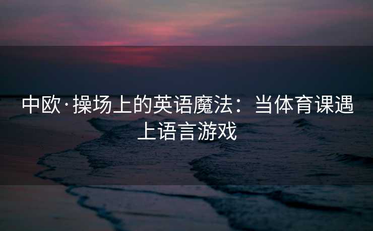 中欧·操场上的英语魔法：当体育课遇上语言游戏