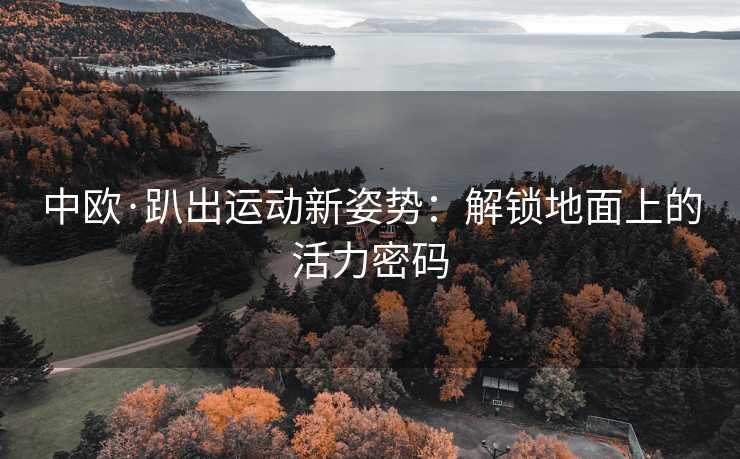 中欧·趴出运动新姿势：解锁地面上的活力密码
