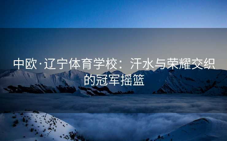 中欧·辽宁体育学校：汗水与荣耀交织的冠军摇篮