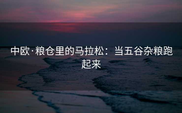 中欧·粮仓里的马拉松：当五谷杂粮跑起来
